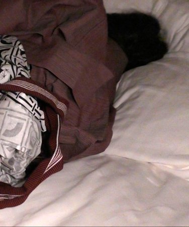 出演番号HTUT-526磁力链接迅雷下载在线观看