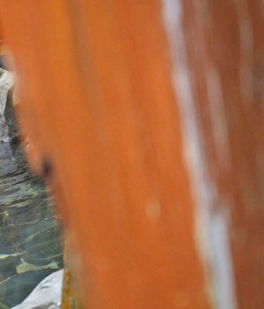 最新出演番号JPAK-090磁力链接迅雷下载在线观看