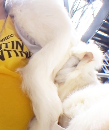 出演番号IAT-009磁力链接迅雷下载在线观看