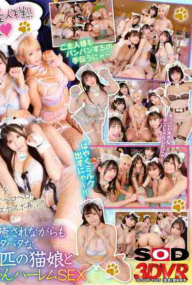 天咲ひめの,天晴乃愛,乙アリス,菊池まや,山本蓮加,九井スナオ出演番号DSVR-1525磁力链接迅雷下载在线观看