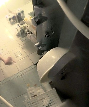 最新出演番号PSA-381磁力链接迅雷下载在线观看