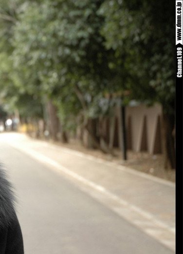 出演番号DAGE-197磁力链接迅雷下载在线观看