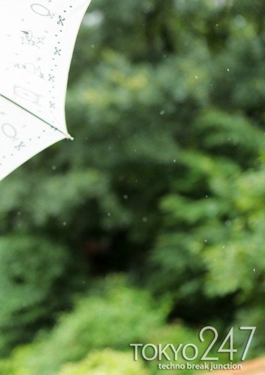 出演番号TOKYO-479磁力链接迅雷下载在线观看