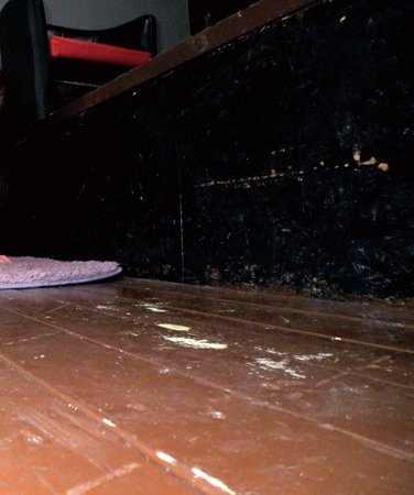 出演番号OREMO-187磁力链接迅雷下载在线观看