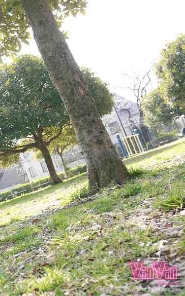 出演番号VINVIN-057磁力链接迅雷下载在线观看