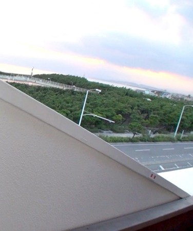 出演番号HAMECH-229磁力链接迅雷下载在线观看