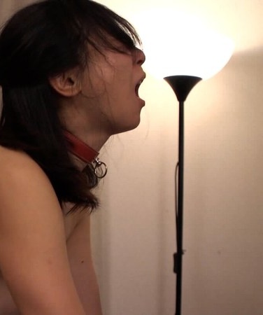 出演番号M903G-004磁力链接迅雷下载在线观看