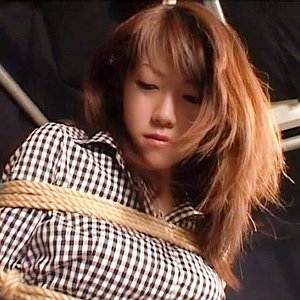 出演番号PWIFE-942磁力链接迅雷下载在线观看