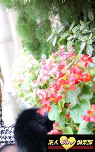 出演番号SHC-207磁力链接迅雷下载在线观看