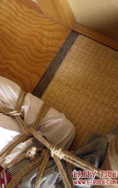 出演番号HAPPYF-015磁力链接迅雷下载在线观看