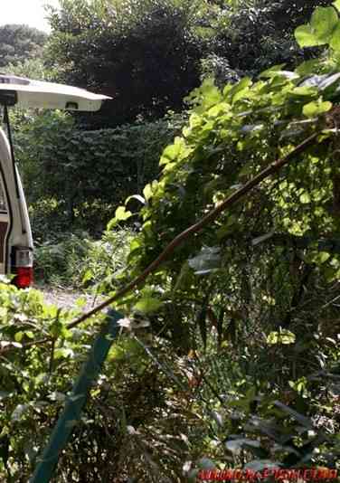 出演番号HAPPYF-108磁力链接迅雷下载在线观看