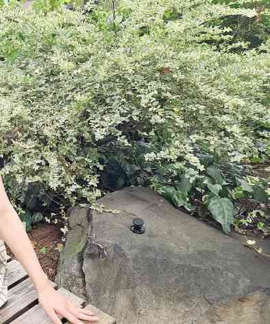 汐梨出演番号SIRO-5431磁力链接迅雷下载在线观看